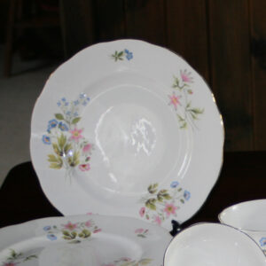 Dinner Plate