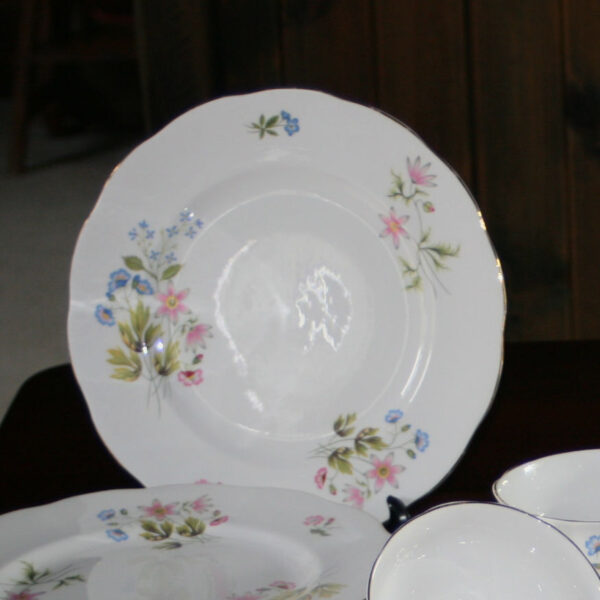 Dinner Plate